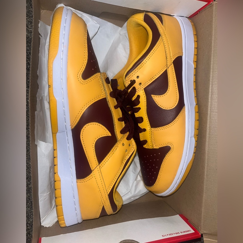 Mens Nike Dunk Low Retro  Florida State. FSU. Men Size 9.5